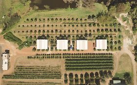 Swan Valley Sisters